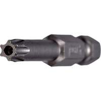 Embout inviolable pour outil &eacute;lectrique Chandler Sales