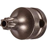 Embout &agrave; ins&eacute;rer, Torx inviolable, 25 x 1" lo, Prise 3/8" Chandler Sales