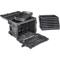 Gen 2 Mobile Tool Chest, 24" W, 6 Drawers, Black Chandler Sales