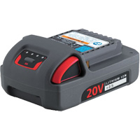 IQV20 Series Battery, Lithium-Ion, 20 V, 2.5 Ah Chandler Sales