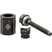 Ensemble emporte-pi&egrave;ce Slug-Buster Chandler Sales