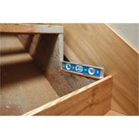 Torpedo Level, 10" L, Aluminum, 1 Vials, Magnetic Chandler Sales