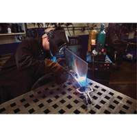 Vise-Grip&reg; Fast Release 11R Locking Pliers, 11" Length, C-Clamp Chandler Sales