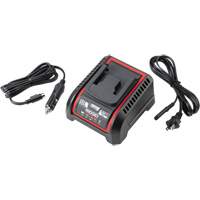 Chargeur de batterie 2,5 Ah et 5,0 Ah, 120 V, Lithium-ion Chandler Sales