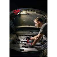 M12 Rover Mounting Flood Light, LED, 250 W, 1000 Lumens Chandler Sales