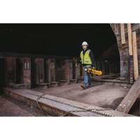 Lampe sans fil sur tr&eacute;pied 20V Max, DEL, 3000 lumens, Boîtier en Plastique Chandler Sales