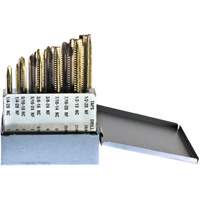 Jeu de tarauds Drillco, 10 morcea Chandler Sales