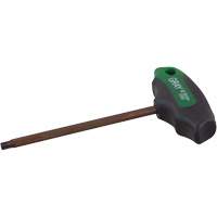Cl&eacute; Torx, embout Hexagonale, T-30 x Poign&eacute;e en T Chandler Sales