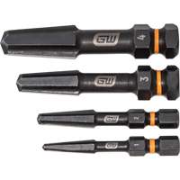 Bolt Biter Screw Extractor Set, High Speed Steel, 4 Pieces Chandler Sales