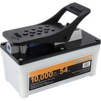 402A Pompe pneumatique/hydraulique &agrave; pied pour usage intensif Chandler Sales