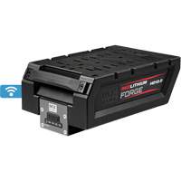 MX Fuel RedLithium Forge HD12.0 Battery Pack Chandler Sales