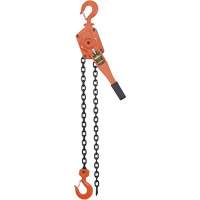 VLP Series Chain Hoists, 5' Lift, 6000 lbs. (3 tons) Capacity, Steel Chain Chandler Sales