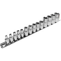 SS314TS  Standard External Socket Sets, Torx&reg;, 1/2"/1/4"/3/8" Drive, 14 Pcs Chandler Sales