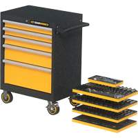 Mechanics Tool Set in Modular Foam Trays with Storage Unit, 247 Pieces Chandler Sales