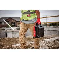 MX FUEL Rapid Charger, 120 V, Lithium-Ion/NiCd/Ni-MH Chandler Sales