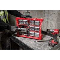 Organisateur PACKOUT &agrave; bac inclinable, 15-1/5" x 19-7/10" x 6-7/10", Noir/Rouge Chandler Sales