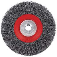 5C14T High Performance Crimped Wire Brush, 5" Dia., 0.014" Fill, 5/8"-11NC Arbor Chandler Sales