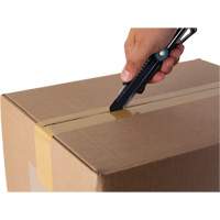 18mm Professional Knife with Ratchet, Stainless Steel, Heavy-Duty, Plastic Handle Chandler Sales