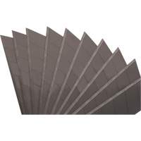 25mm Replacement Blades, Snap-Off Style Chandler Sales