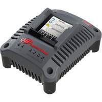IQV20 Compact Battery Charger, 20 V, Lithium-Ion Chandler Sales