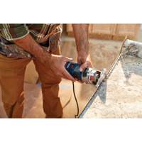 Colt Electronic Variable-Speed Palm Router Chandler Sales