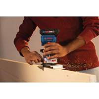 Brushless Colt Palm Router Chandler Sales
