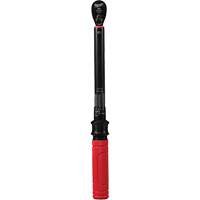 Torque Wrench, Click, 3/8" Square Drive, 20 - 100 in-lbs/27.1 - 135.6 N.m Chandler Sales