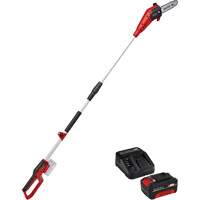 Scie &agrave; chaîne &agrave; perche sans fil avec batterie 4 Ah et ensemble de d&eacute;part de chargeur Chandler Sales