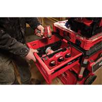 Divider for PACKOUT Drawer Tool Boxes Chandler Sales