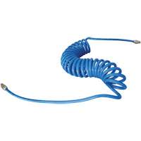 MAXAIR Coiled Hose, Air, 1/4" ID x 50' L, Polyurethane Chandler Sales