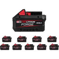 REDLITHIUM FORGE XC8.0 Battery, Lithium-Ion, 18 V, 8 Ah Chandler Sales