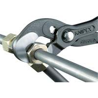 Raptor Pliers, 10" Chandler Sales
