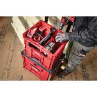 Caisse Packout, 15-3/4" x 18-5/8" x 15", Noir/Rouge Chandler Sales