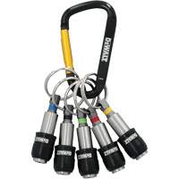 Keyring Bit Holder Set, 5 Pcs. Chandler Sales