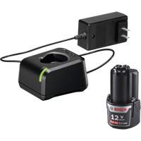 12V MAX Cordless Tool Battery & Charger Starter Kit, 12 V, Lithium-Ion Chandler Sales