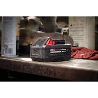 Bloc-pile r&eacute;sistant M18 REDLITHIUM HIGH OUTPUT XC5, Lithium-ion, 18 V, 5 Ah Chandler Sales