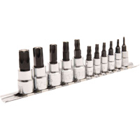 Magnetic Bit Socket Set JMTB-11, Torx&reg;, 1/4"/3/8" Drive, 11 Pcs Chandler Sales
