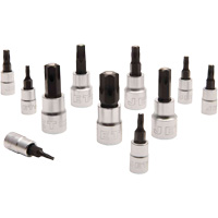 Magnetic Bit Socket Set JMTB-11, Torx&reg;, 1/4"/3/8" Drive, 11 Pcs Chandler Sales