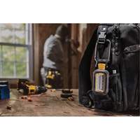 Baladeuse rechargeable, DEL, 1000 lumens, Boîtier en Plastique Chandler Sales