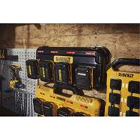 MAX*/FLEXVOLT&reg; 4 Amp Multiport Charger, 12 V/20 V, Lithium-Ion Chandler Sales