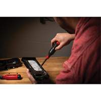 15-in-1 Electronic Multi-Bit Screwdriver, Plastic Handle Chandler Sales