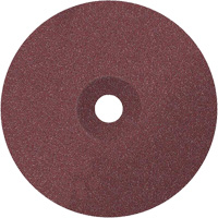 Coolcut Sanding Disc, Aluminum Oxide, 24, 7" Dia x 7/8" Arbor Chandler Sales