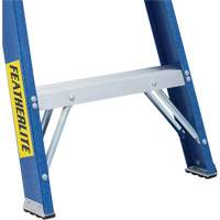 Industrial Duty Stepladders (6300 Series), 4', Fibreglass, 250 lbs. Capacity, Type 1 Chandler Sales