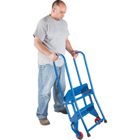 Portable Folding Ladder, 2 Steps, Perforated, 20" High Chandler Sales