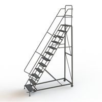 Heavy Duty Rolling Ladder, 12 Steps, 24" Step Width, 120" Platform Height, Steel Chandler Sales