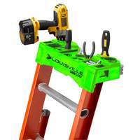 Pro Top Extension Ladder, 300 lbs. Cap., 29' H, Grade 1A Chandler Sales