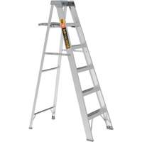 Step Ladder with Paint Tray, 6', Aluminum, 225 lbs. Capacity, Type 2 Chandler Sales