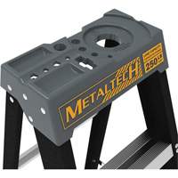 Step Ladder with Paint Tray, 10', Fibreglass, 250 lbs. Capacity, Type 1 Chandler Sales