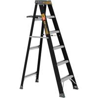 Step Ladder with Paint Tray, 6', Fibreglass, 250 lbs. Capacity, Type 1 Chandler Sales