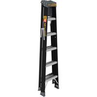 Step Ladder with Paint Tray, 6', Fibreglass, 250 lbs. Capacity, Type 1 Chandler Sales
